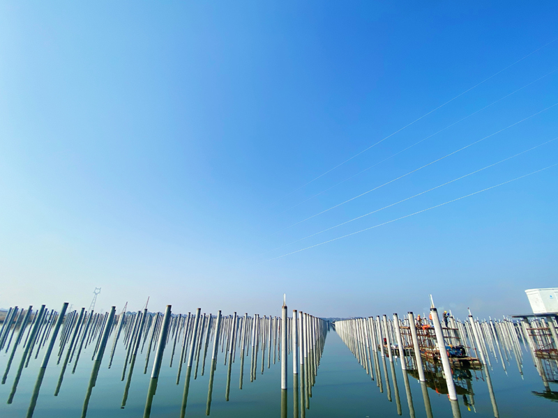 陳瑤湖項(xiàng)目.jpg
